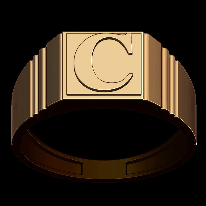 Name Ring, Custom Cast in 14k Gold, Raised Name over Sandblasted Finis –  Gem of the Day