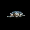 Tirupati face 3D model 3D Printing Models - Image 6